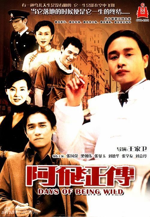 考生学历证书认证报告在哪里打印